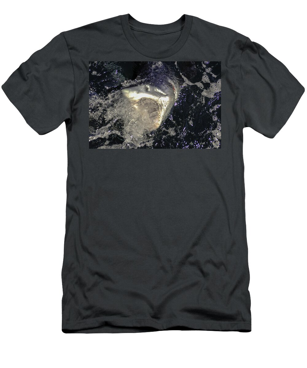 Mako Sharks T-Shirt featuring the photograph Mako Shark coming to greet us by David Shuler