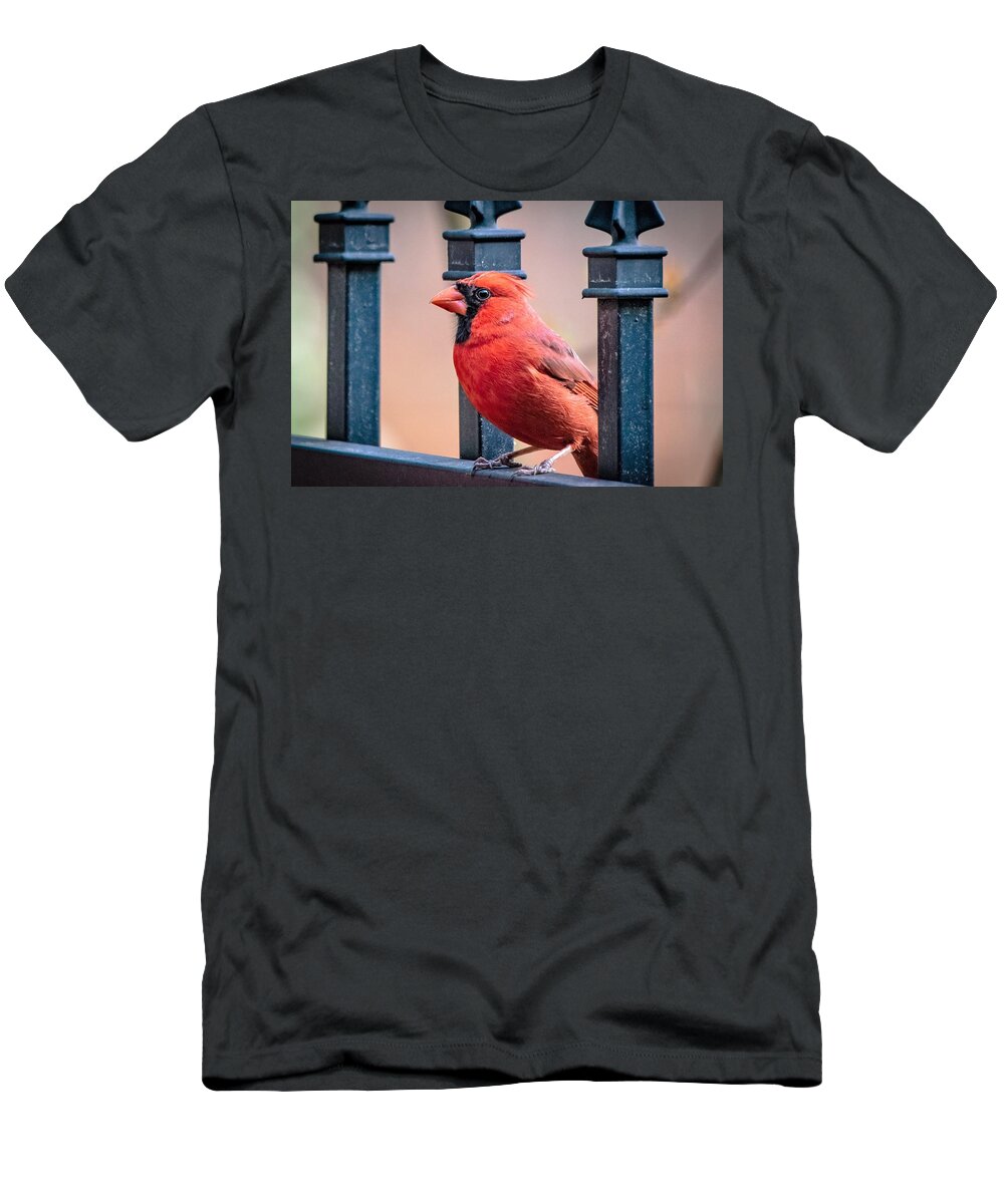 Male Cardinal T-Shirt featuring the photograph Male Cardinal Portrait by Mary Ann Artz