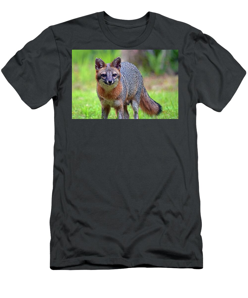 Photograph T-Shirt featuring the photograph Mama Fox by Larah McElroy