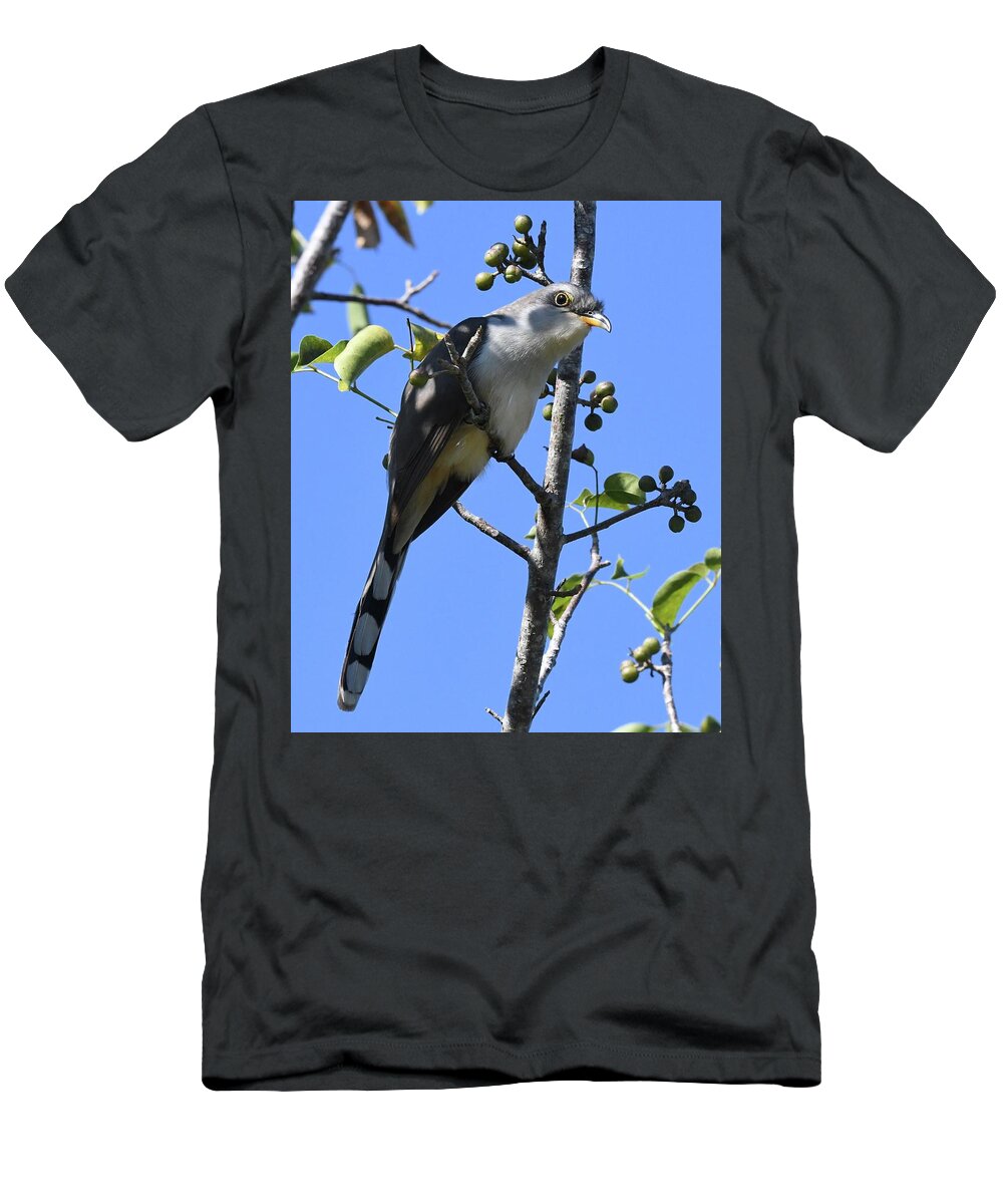 Cuckoo T-Shirt featuring the photograph Mangrove Cuckoo by Jim Bennight