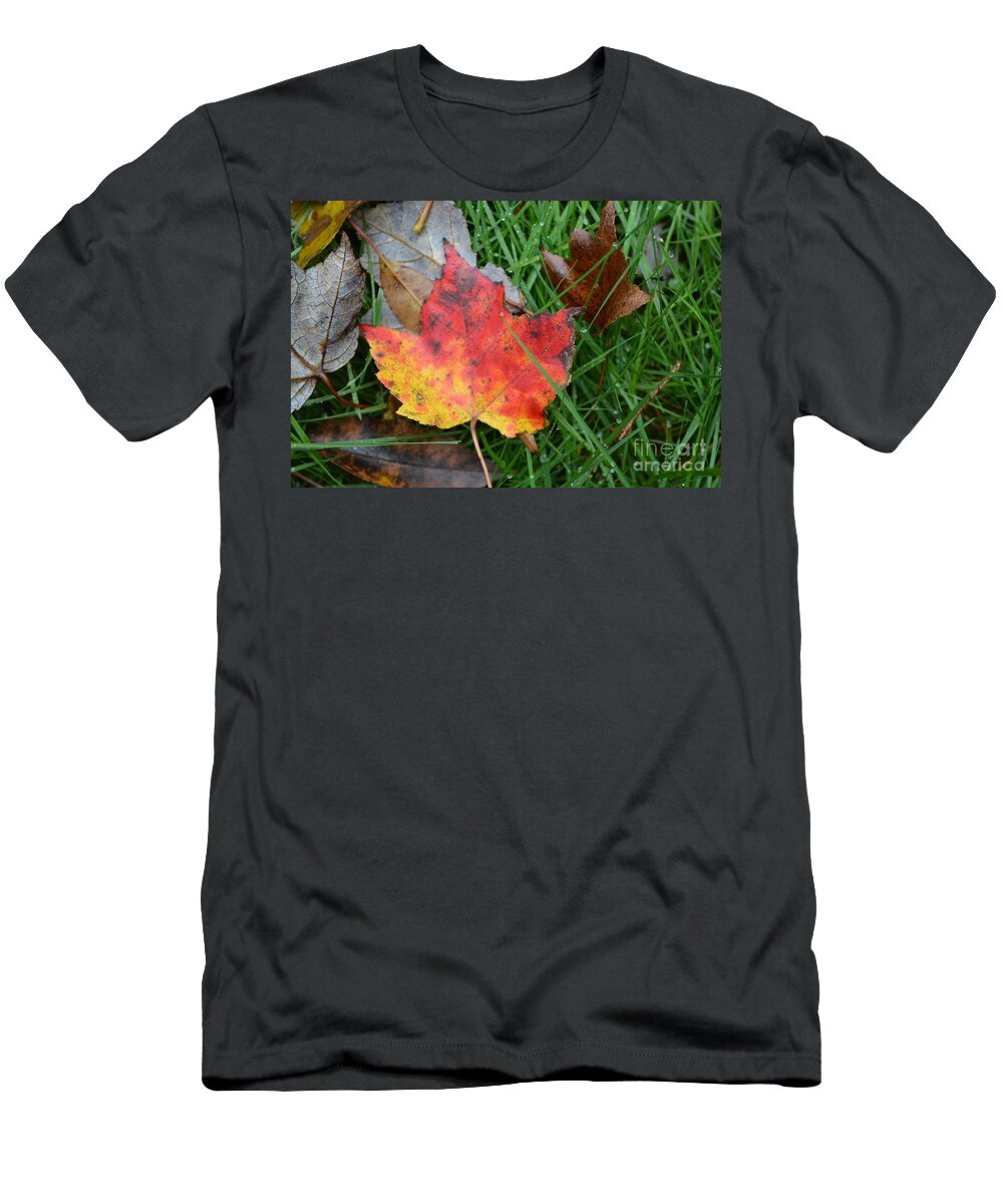 Autumn T-Shirt featuring the photograph Maple by Dani McEvoy