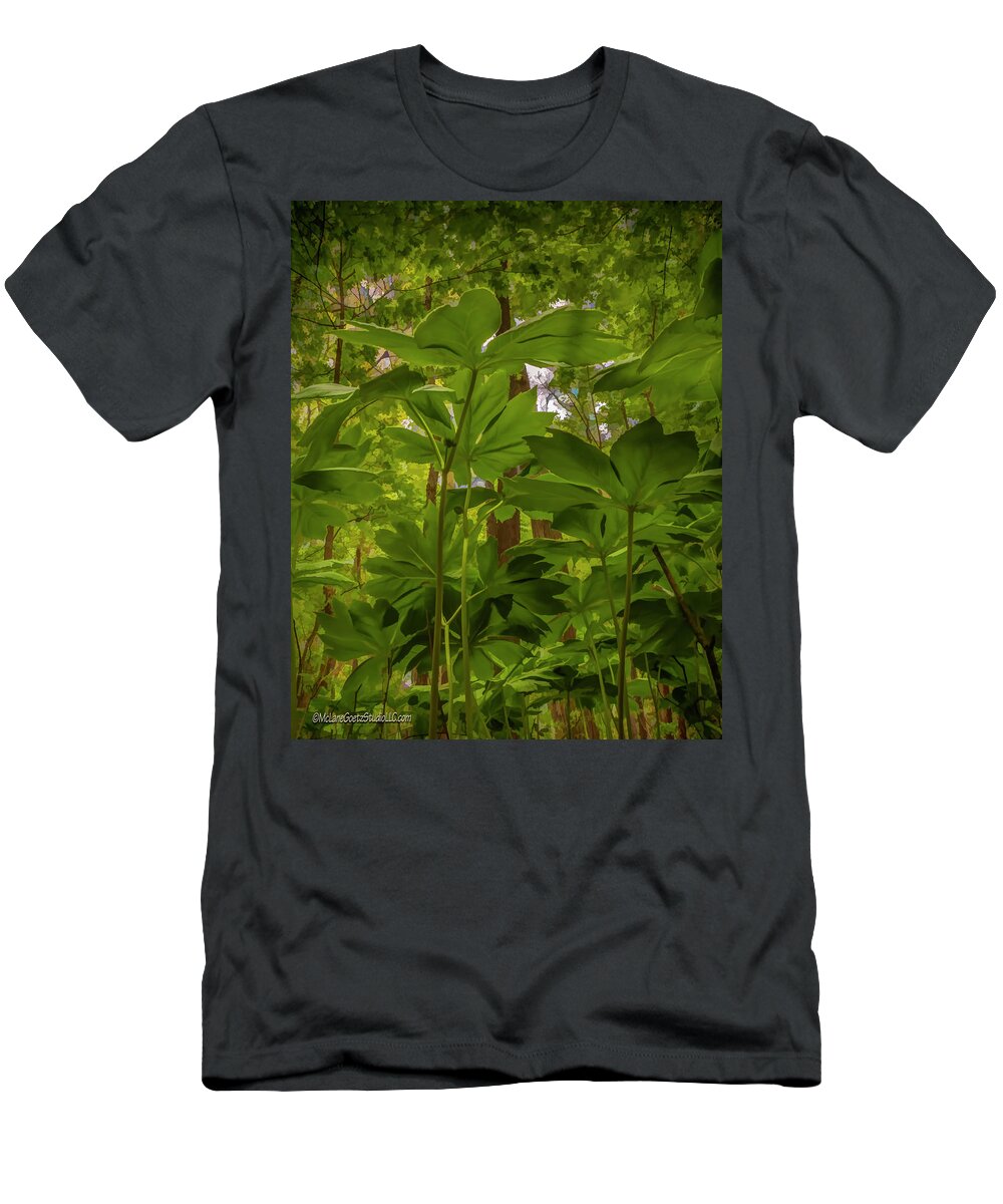 Usa T-Shirt featuring the photograph May Apple Forest by LeeAnn McLaneGoetz McLaneGoetzStudioLLCcom