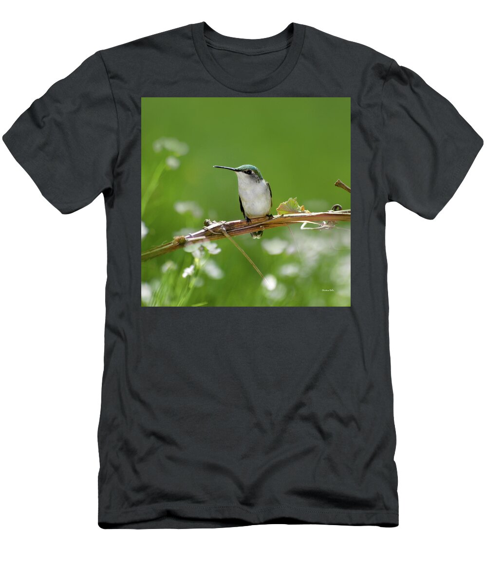 Birds T-Shirt featuring the photograph Meadow Hummingbird Square by Christina Rollo