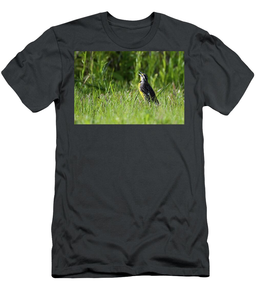 Meadowlark T-Shirt featuring the photograph Meadowlark Serenade by T Lynn Dodsworth