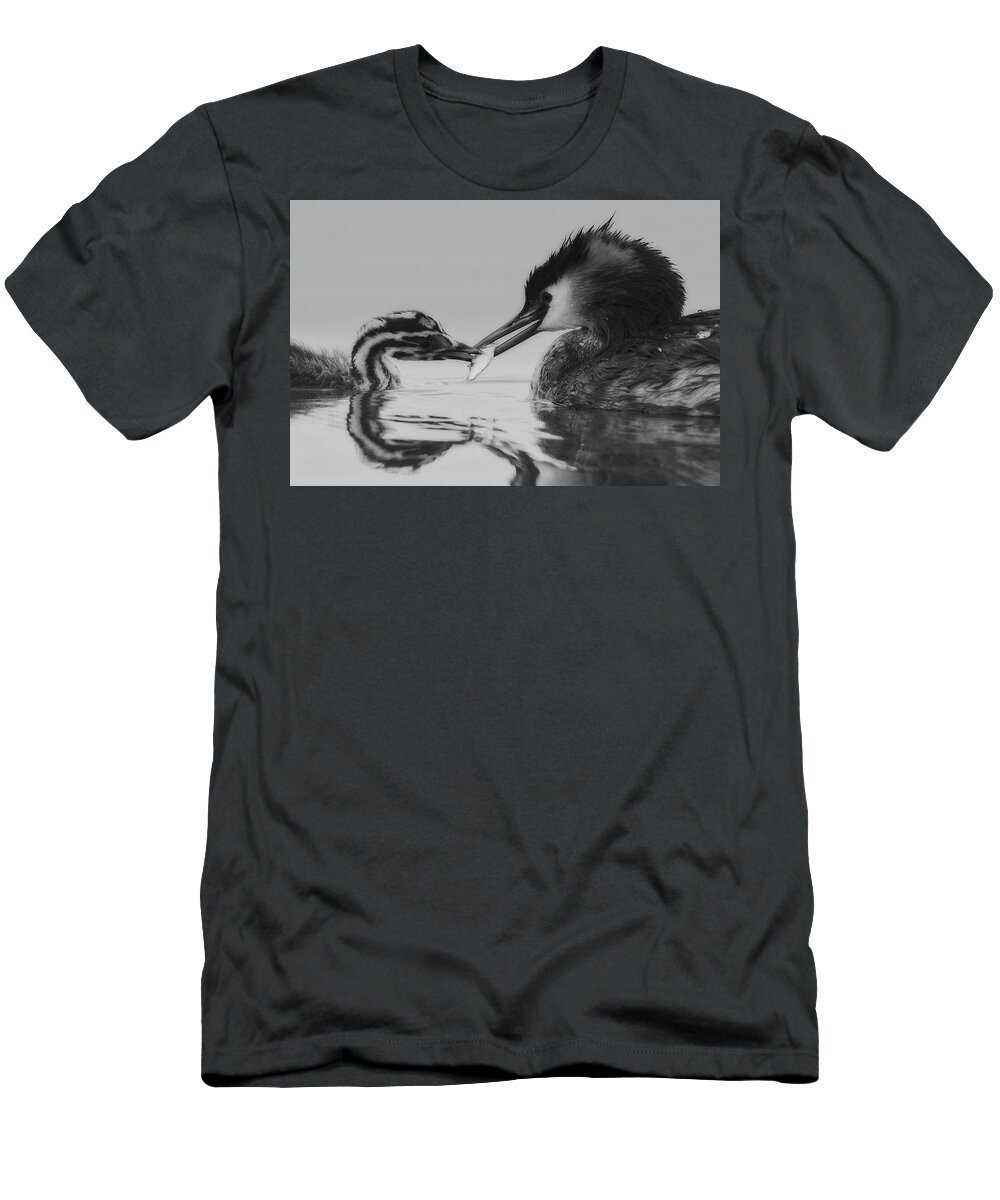 Grebe T-Shirt featuring the photograph Meal From Mother by Mountain Dreams