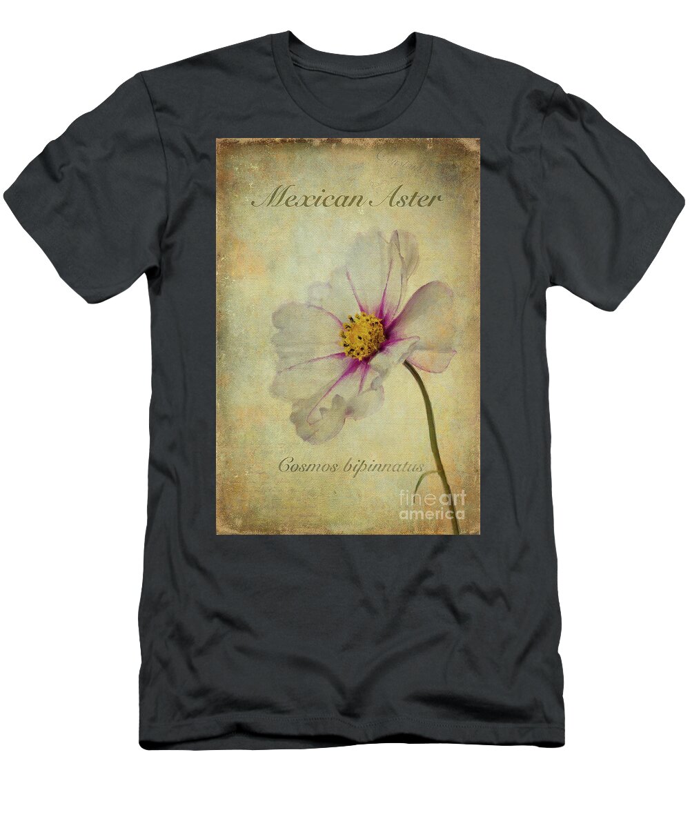 Mexican Aster T-Shirt featuring the painting Mexican Aster by John Edwards