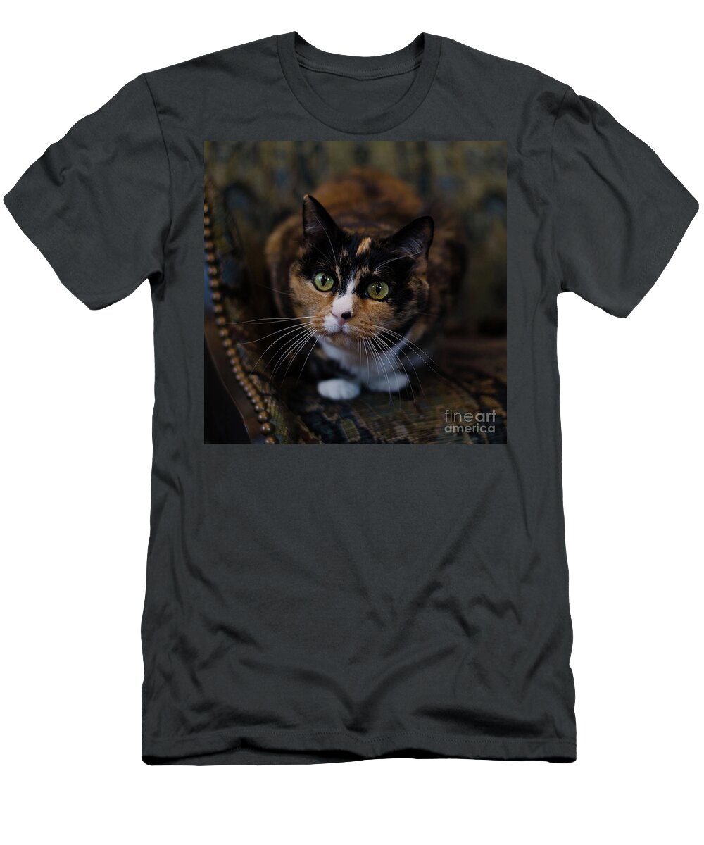 Calico Cat T-Shirt featuring the photograph Mischa by Irina ArchAngelSkaya