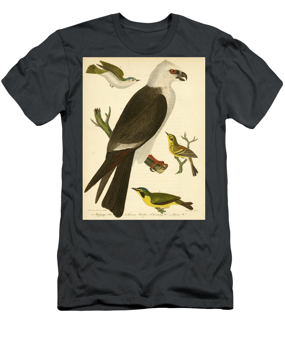 Birds T-Shirt featuring the mixed media Mississippi Kite by Alexander Wilson