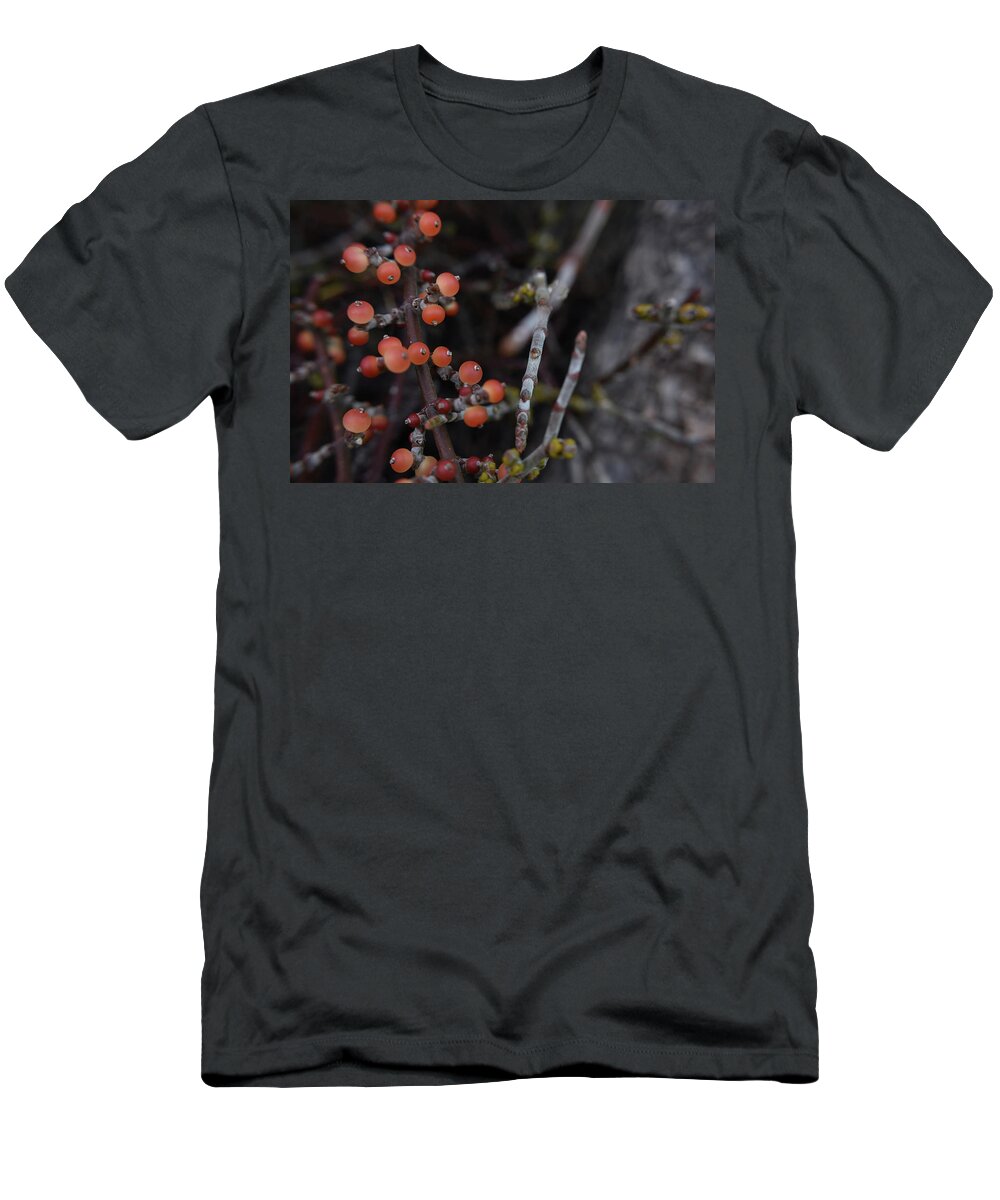 Berries T-Shirt featuring the photograph Mistletoe by Melisa Elliott