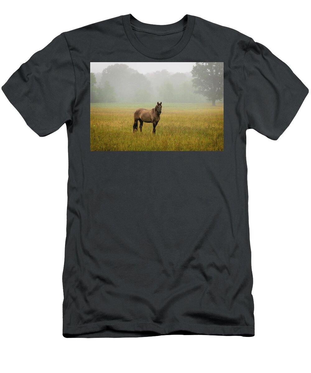 Horses T-Shirt featuring the photograph Misty Morning by Steve L'Italien