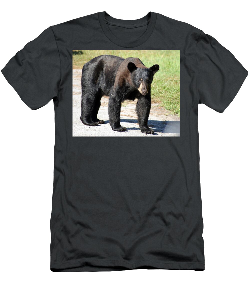 Florida T-Shirt featuring the photograph Momma Bear by Lindsey Floyd