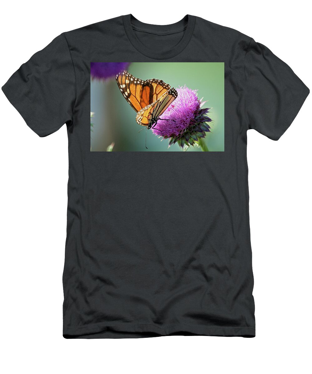 Betty Depee T-Shirt featuring the photograph Monarch and Thistle by Betty Depee
