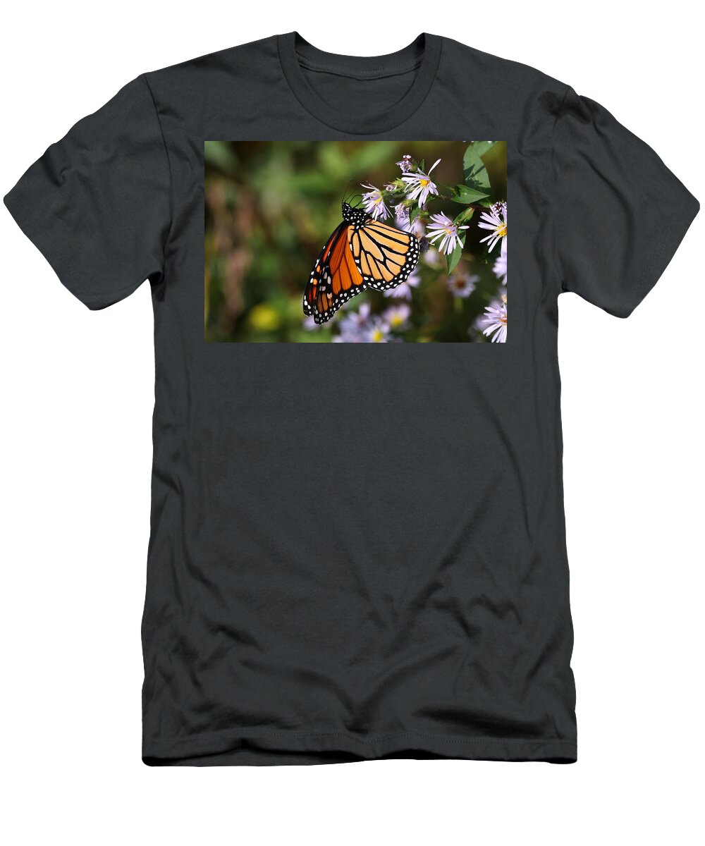 Monarch T-Shirt featuring the photograph Monarch Butterfly II 2018 by Carol Montoya