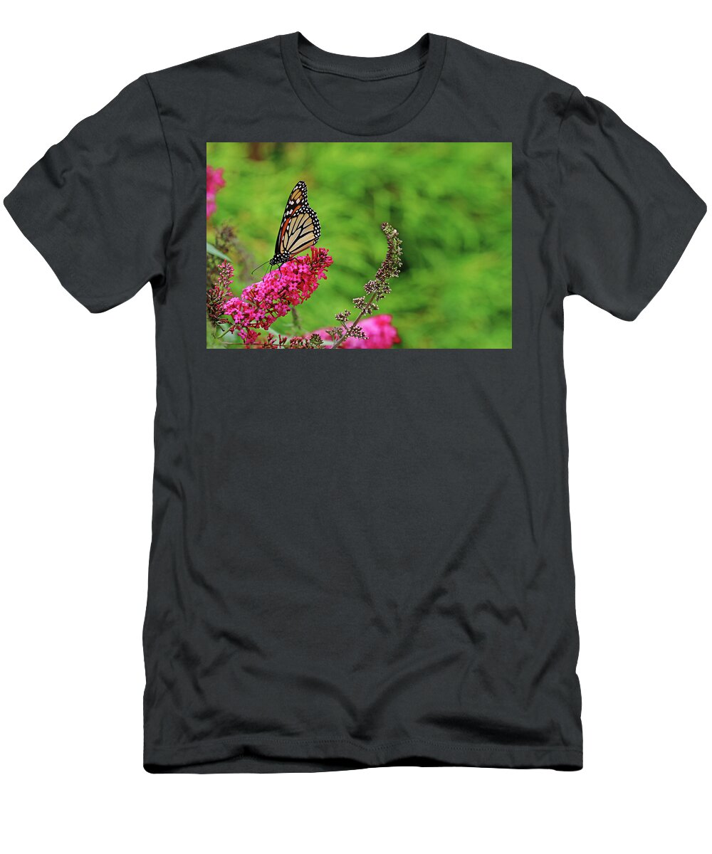 Butterfly T-Shirt featuring the photograph Monarch In The Garden by Debbie Oppermann