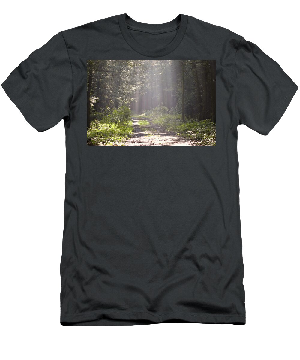Forest T-Shirt featuring the photograph Morning Sun Rays by Scott Burd