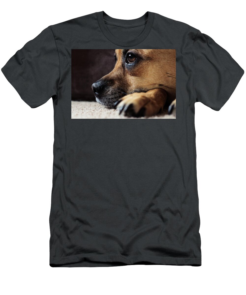 Animal T-Shirt featuring the photograph Moxee by Anamar Pictures