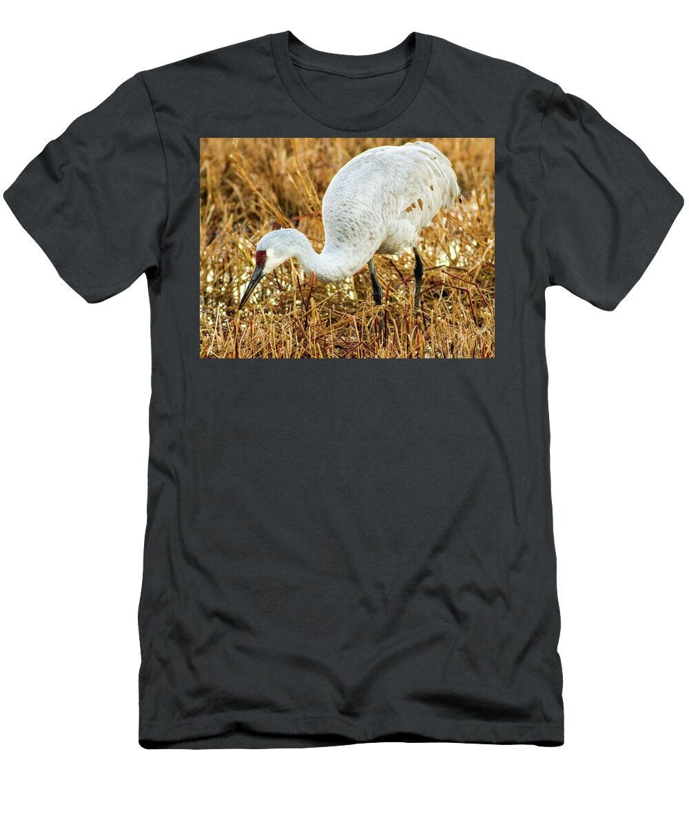 Jean Noren T-Shirt featuring the photograph Munching Sandhill Crane by Jean Noren
