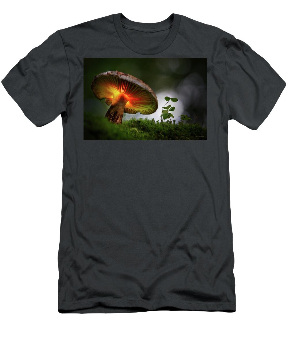 Autumn T-Shirt featuring the photograph Mushroom fairy tale fantasy by Dirk Ercken