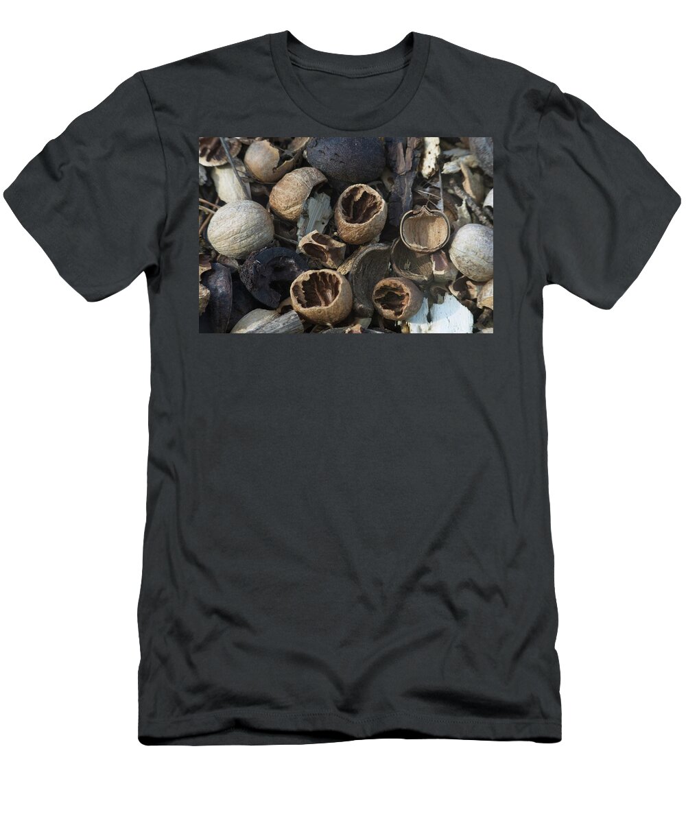 Emotion T-Shirt featuring the photograph Natures Nuts by Douglas Barnett