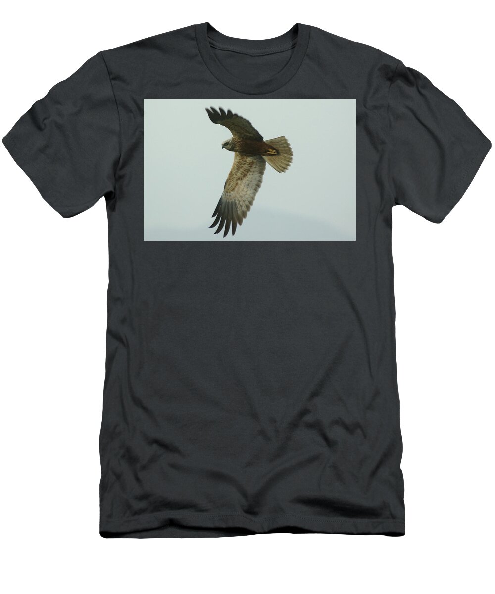 Rapace T-Shirt featuring the photograph Nibbio by Simone Lucchesi