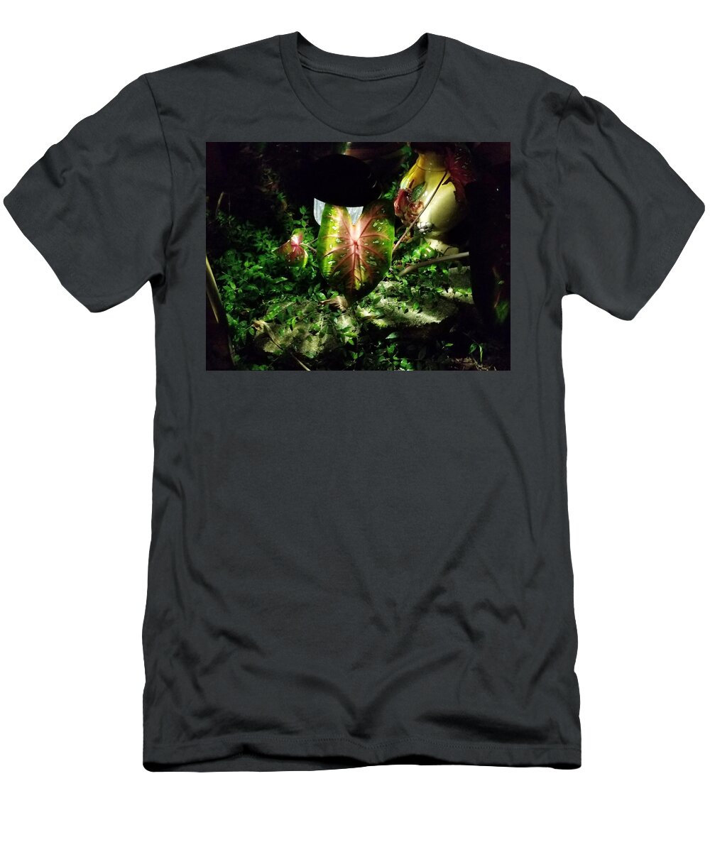 Night T-Shirt featuring the photograph Night Light by Joe Roache