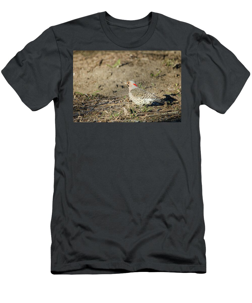 Northern Flicker T-Shirt featuring the photograph Northern Flicker by Susan McMenamin