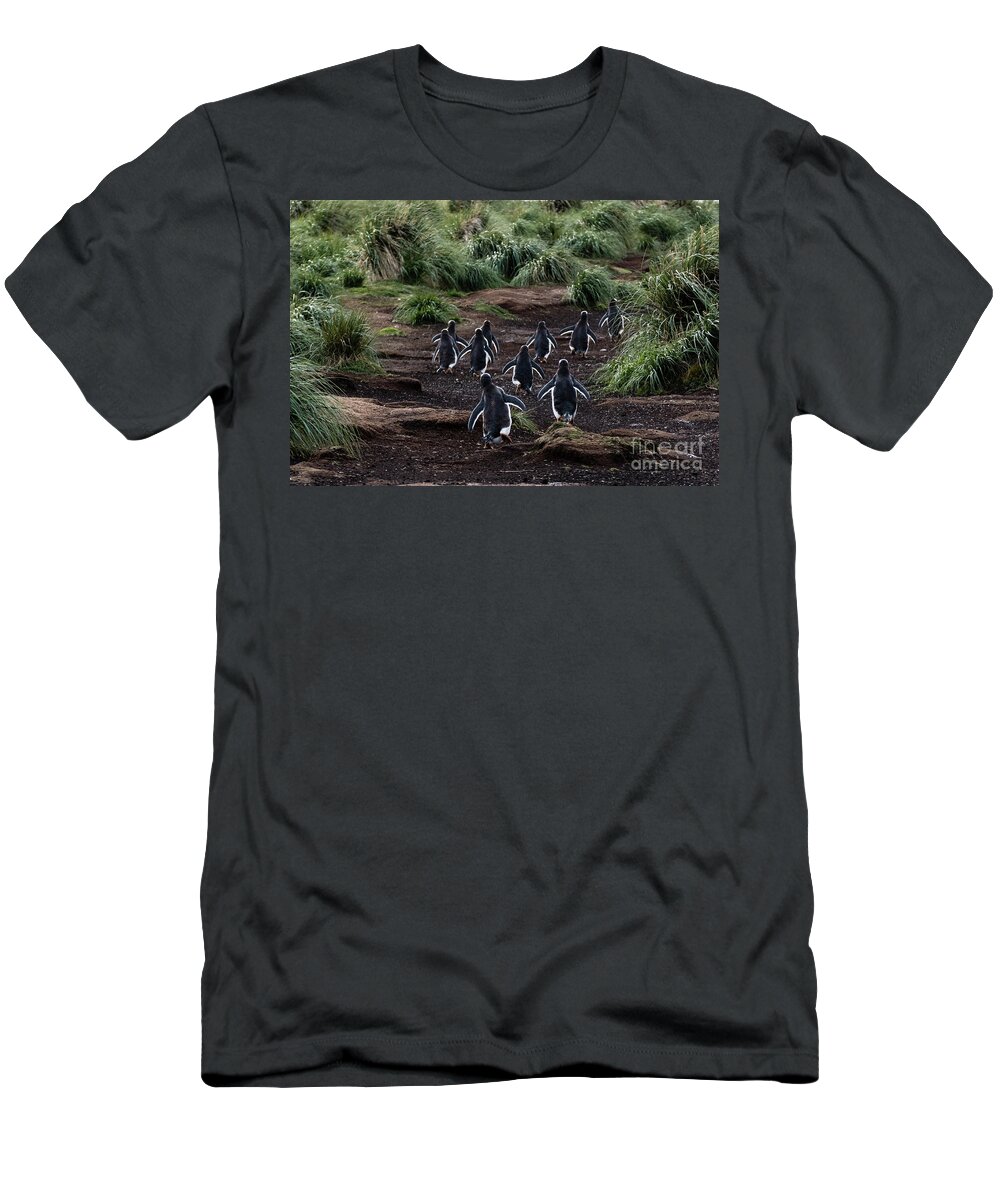 Rear View T-Shirt featuring the photograph Off We Go by Paulette Sinclair