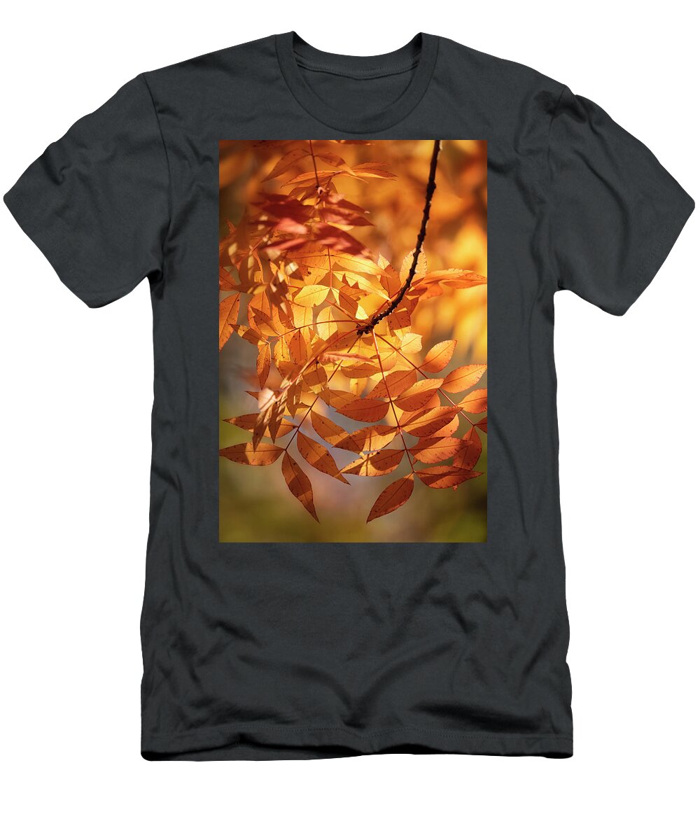Autumn T-Shirt featuring the photograph On A Golden Autumn Morning by Saija Lehtonen