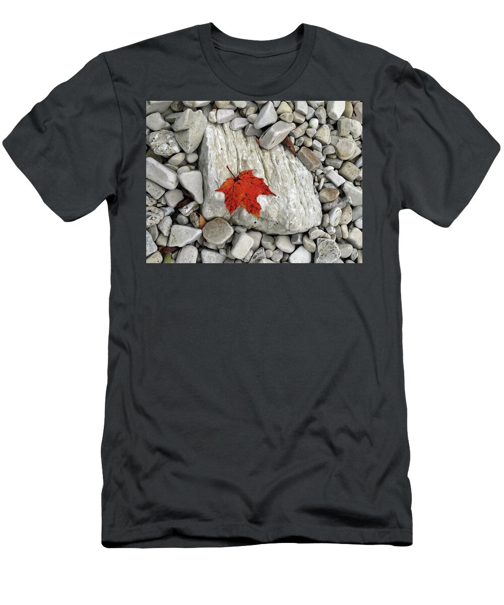 Fall T-Shirt featuring the photograph One Leaf Many Rocks by David T Wilkinson