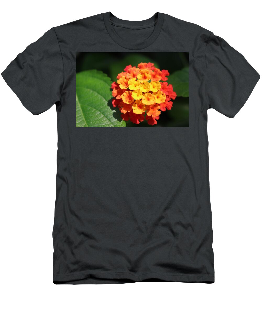Flower T-Shirt featuring the photograph Orange Lantana by Christopher Lotito