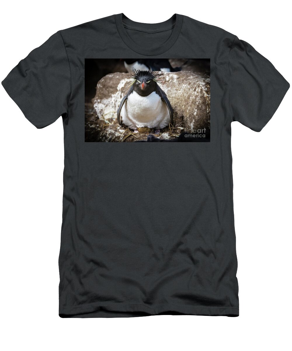 Rockhopper Penguin T-Shirt featuring the photograph Parenting by Paulette Sinclair