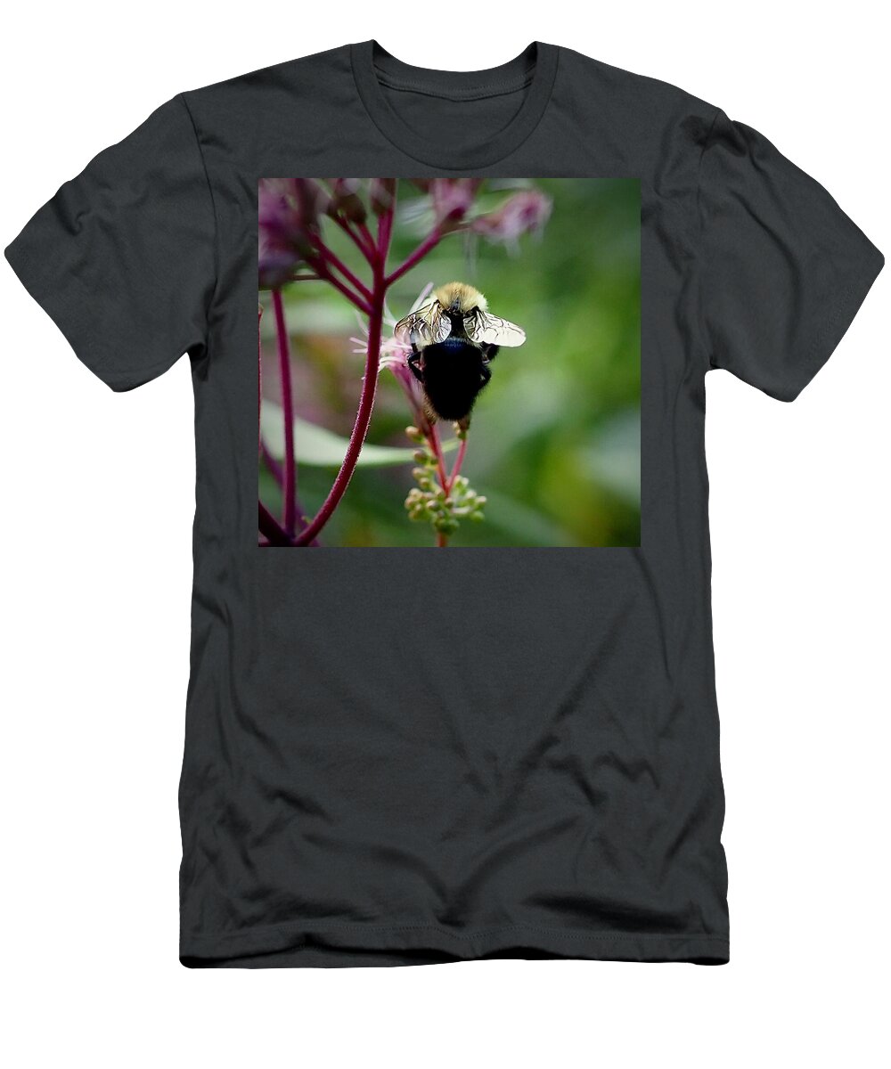 Bee T-Shirt featuring the photograph Peaceful Dining by Alida M Haslett