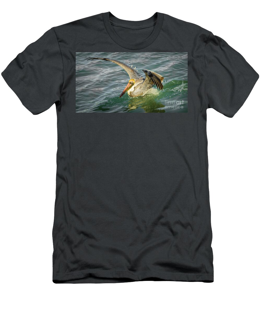 Pelican Flight T-Shirt featuring the photograph Pelican Wings by Stefano Senise