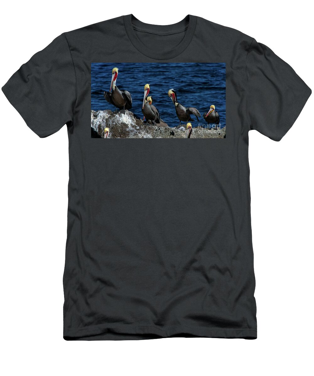 Azamara T-Shirt featuring the photograph Pelicanos by Doug Sturgess