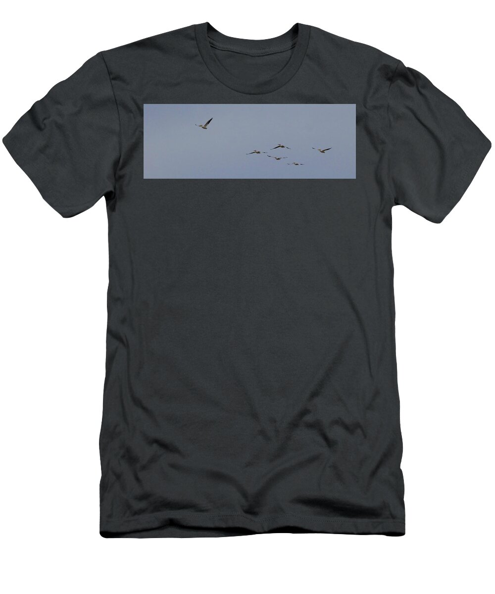 Orcinusfotograffy T-Shirt featuring the photograph Pelicans In The Wind by Kimo Fernandez