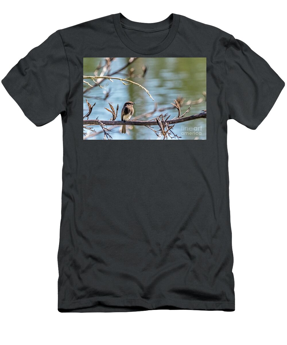 Black Phoebe T-Shirt featuring the photograph Phoebe by Kate Brown