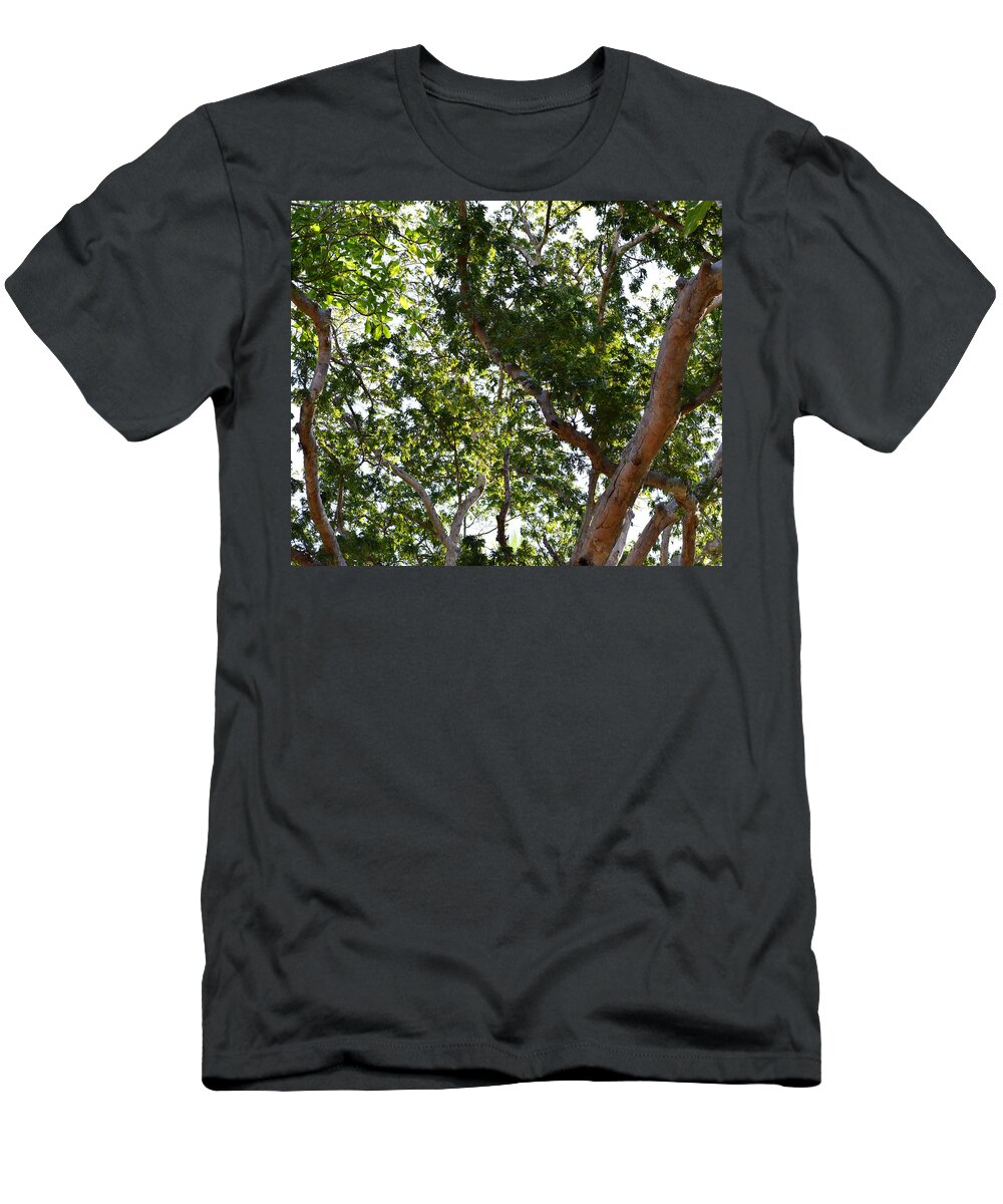Tree T-Shirt featuring the photograph Photo 66 Tropical Trees by Lucie Dumas