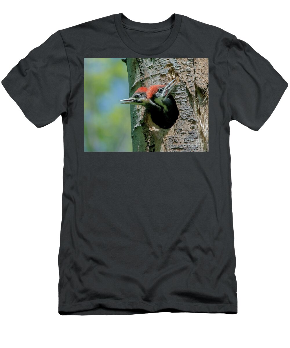 Cheryl Baxter Photography T-Shirt featuring the photograph Pileated Woodpecker Chicks by Cheryl Baxter