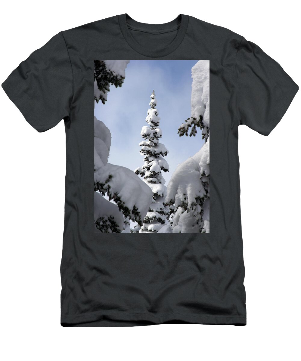 Snow T-Shirt featuring the photograph Pine Framed in Powder by Brett Pelletier