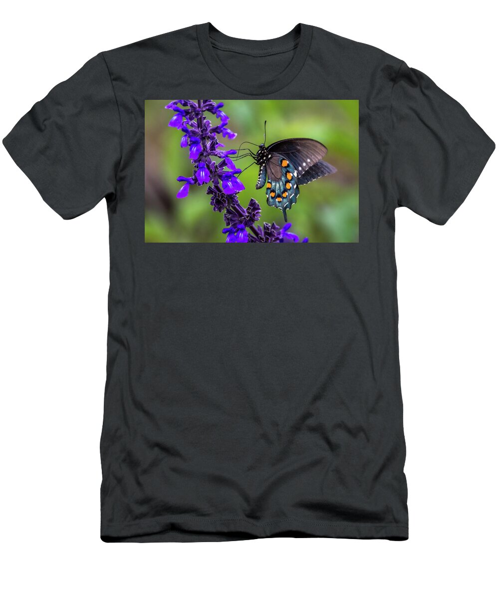 Pipevine Swallowtail T-Shirt featuring the photograph Pipevine Swallowtail by Debra Martz