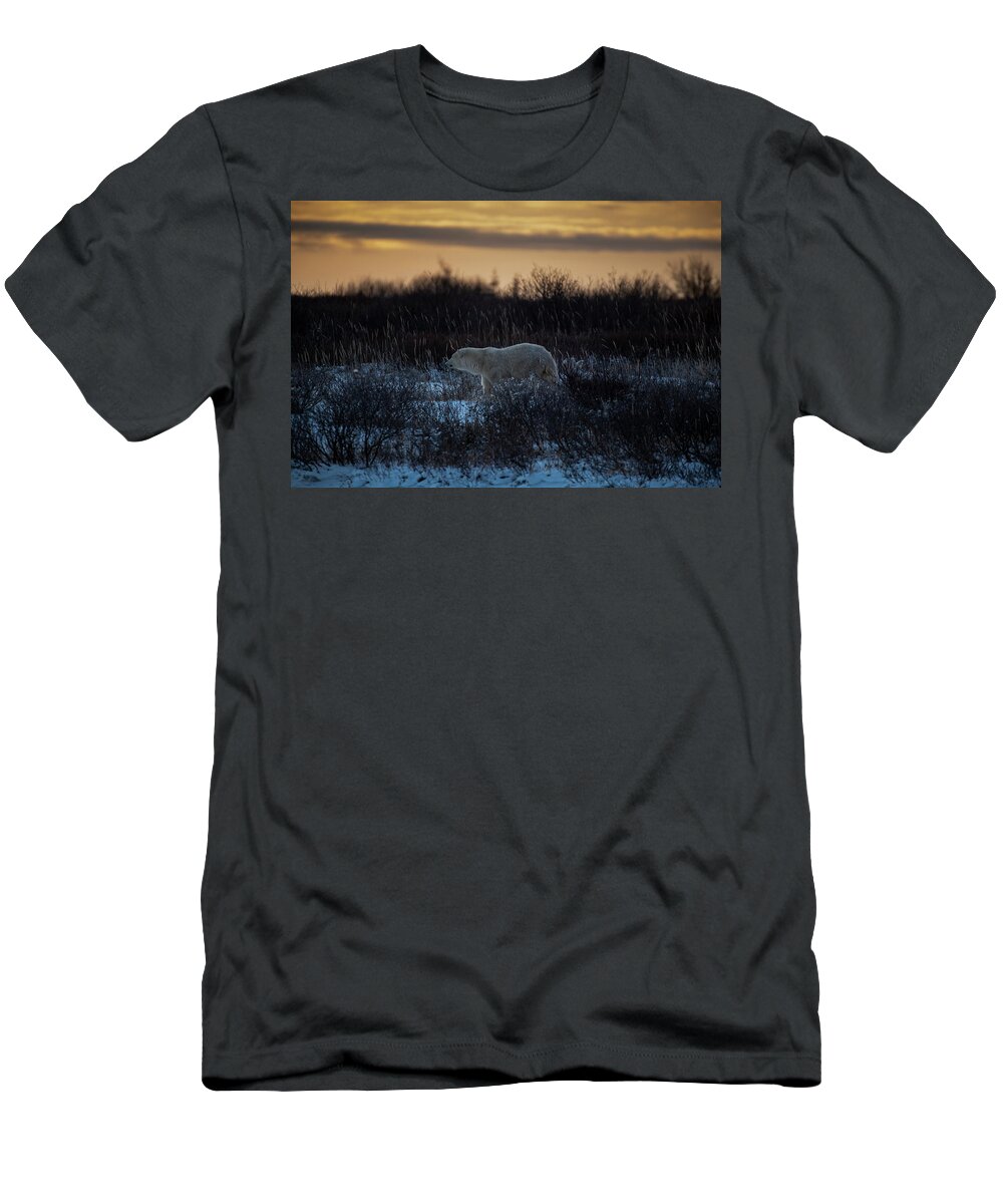 Bear T-Shirt featuring the photograph Polar Bear at Dusk by Mark Hunter