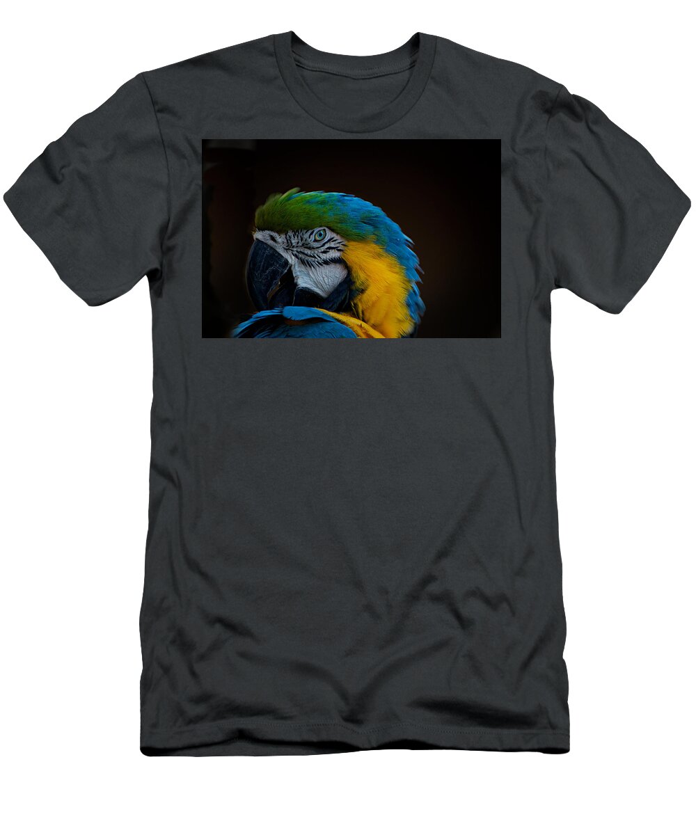 Parrot T-Shirt featuring the photograph Polly's Portrait by Carolyn Mickulas
