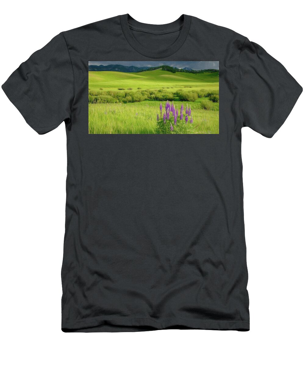Lupines T-Shirt featuring the photograph Pop of Purple by Marcy Wielfaert
