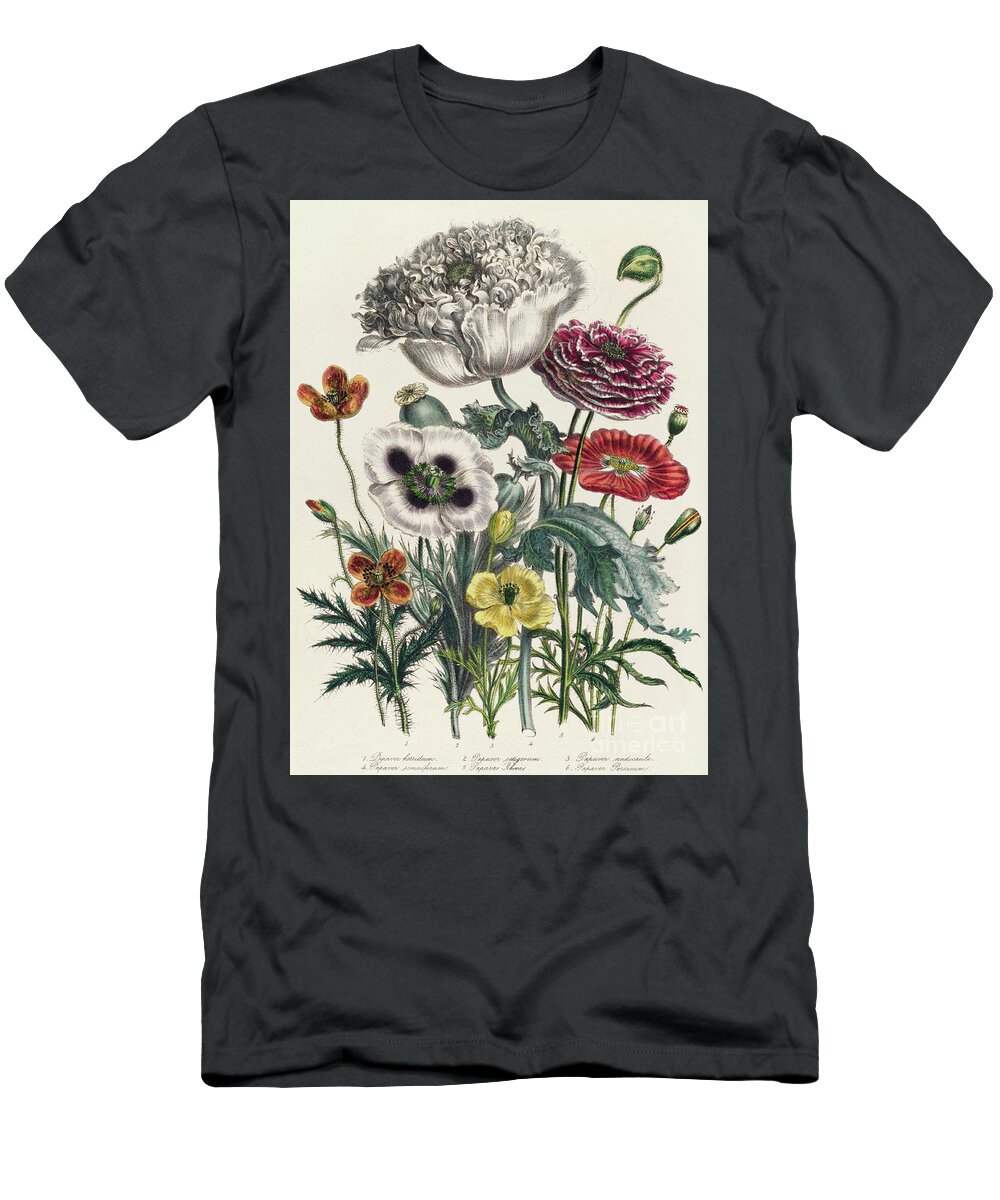 Poppy T-Shirt featuring the drawing Poppies, plate iv from The Ladies' Flower Garden, published in 1842 by Jane Loudon