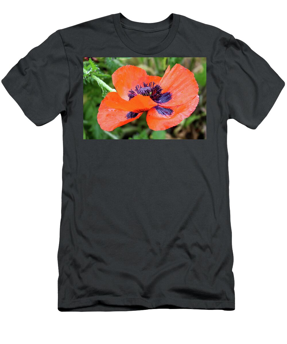 Flower T-Shirt featuring the photograph Poppin Poppy by Mary Anne Delgado