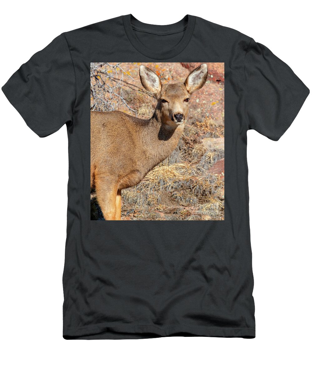 Deer T-Shirt featuring the photograph Portrait of a Deer in the Morning by Steven Krull