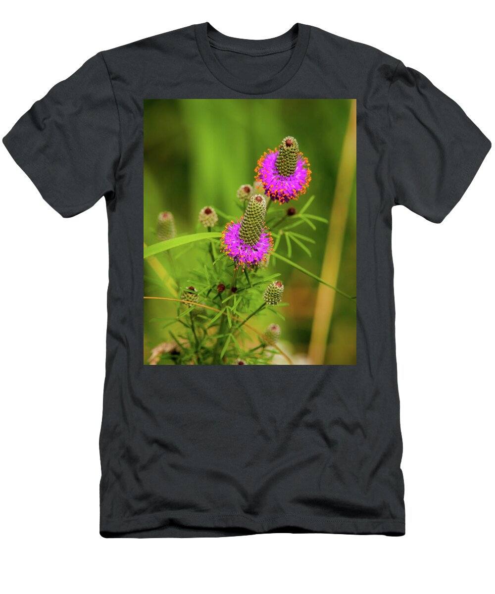 Dalea Purpurea T-Shirt featuring the photograph Prairie Clover by Jeff Phillippi