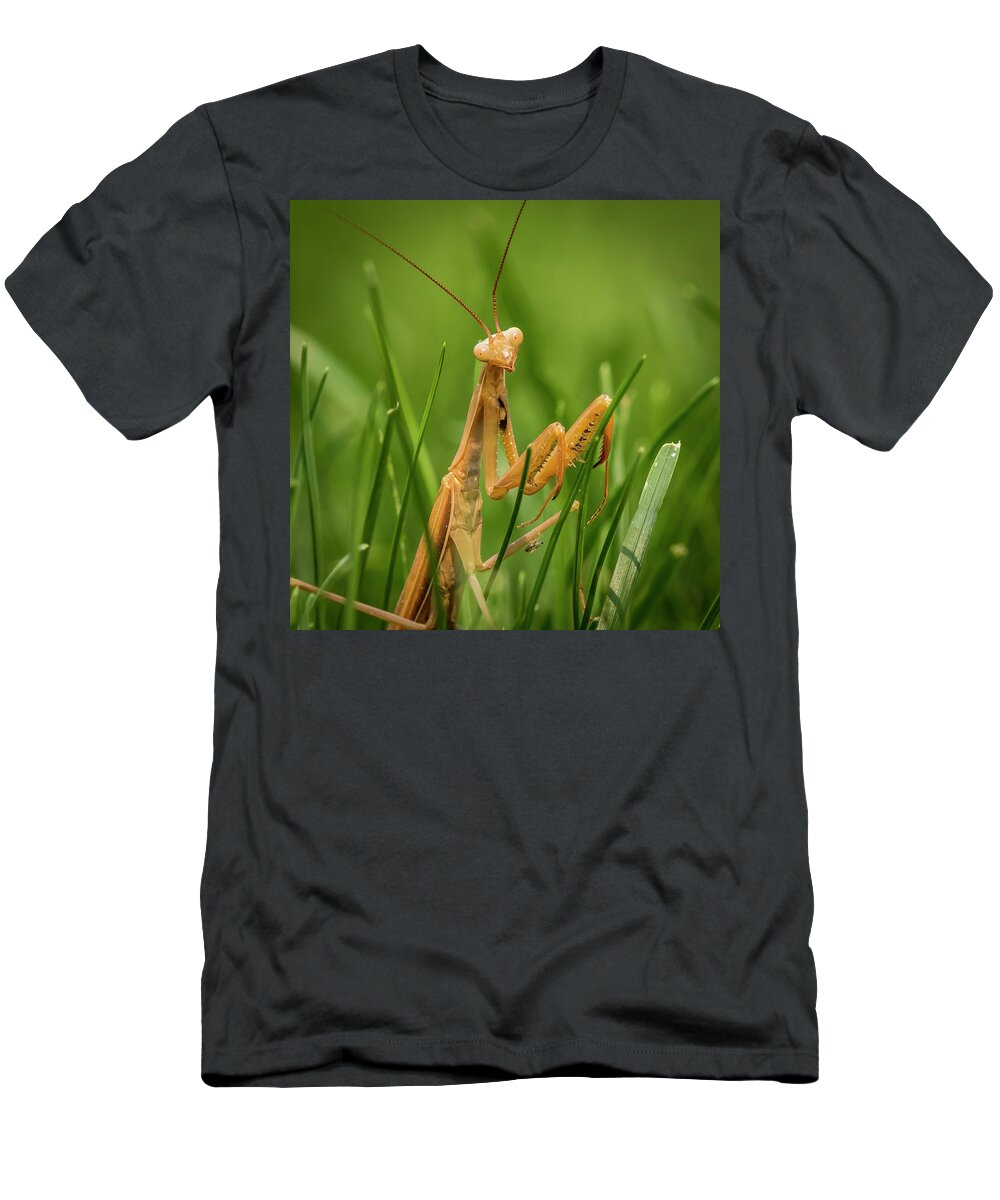 Alien T-Shirt featuring the photograph Praying Mantis by Mark Mille