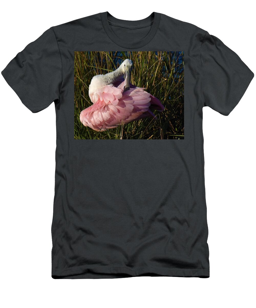 Roseate Spoonbill T-Shirt featuring the photograph Preening Time by Chip Gilbert