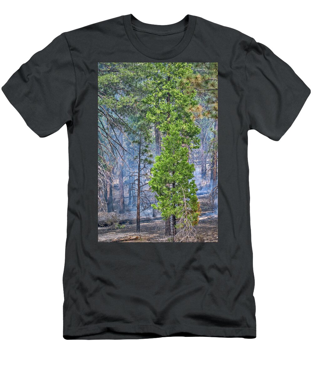Forest T-Shirt featuring the photograph Prescribed Fire in Sequoia Park by Lucia Vega